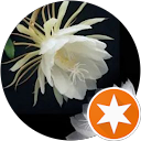 Ninuk A. profile picture